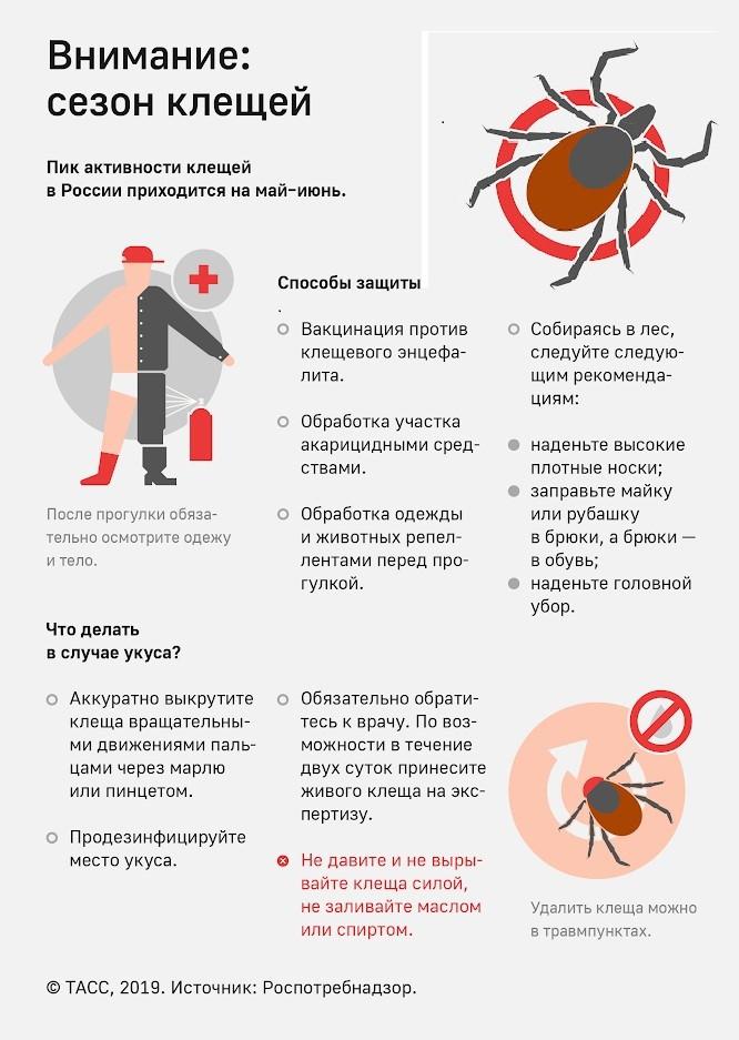 Информируем о сезоне активности клещей.