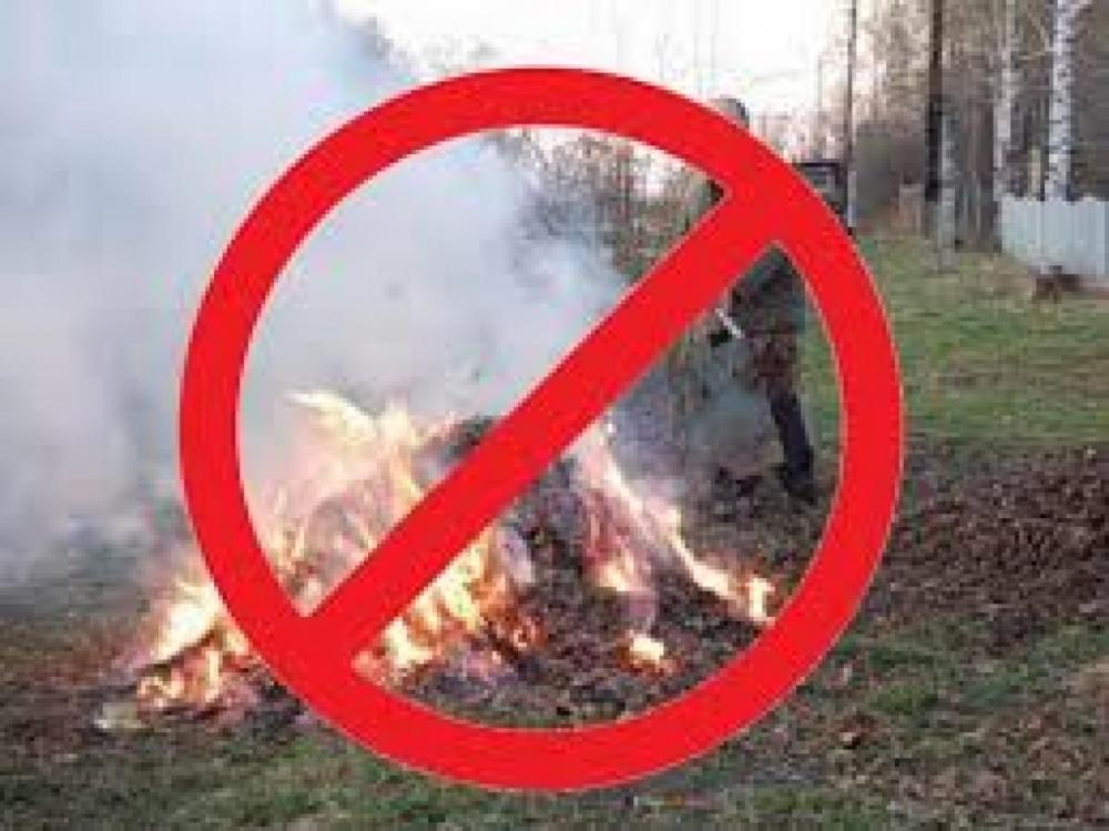 Информируем о правилах сжигания мусора на дачах.
