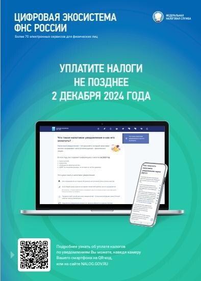 Информируем о сроках уплаты налогов.