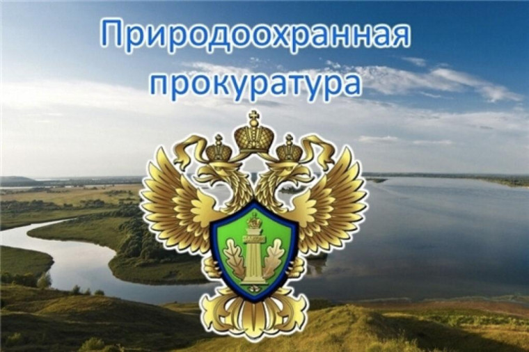 Природоохранная прокуратура разъясняет. Природоохранная прокуратура разъясняет.