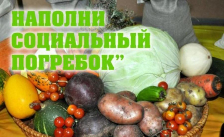 Информируем об акции " Наполни социальный погребок". Информируем об акции " Наполни социальный погребок".