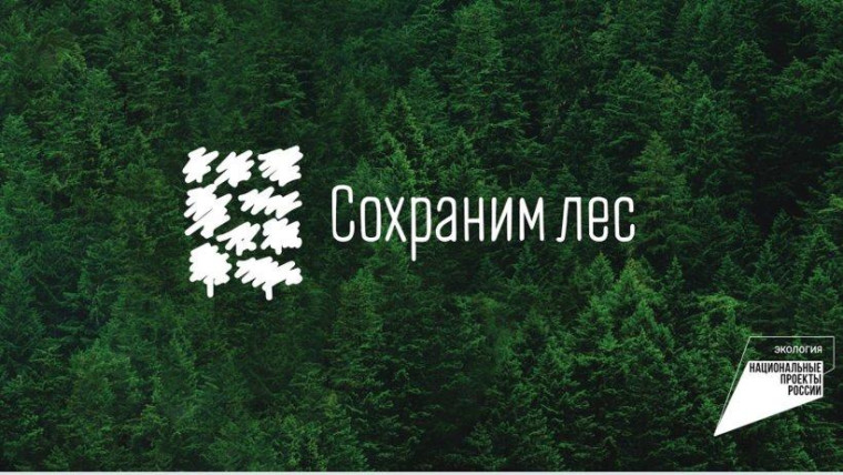 Информируем об акции " Сохраним лес". Информируем об акции " Сохраним лес".